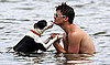 Are the Self-Identified Labels of "Dog People" vs. "Cat People" Unrelated to Pet Ownership?