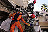 How to Help Animals in Haiti: In the LINK of an Eye! 