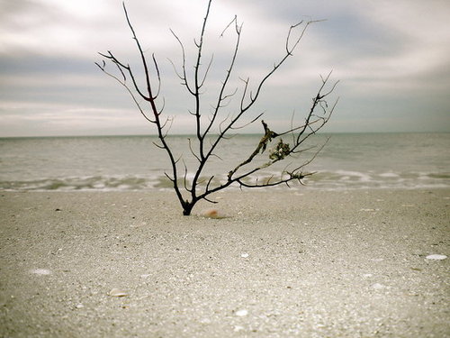 Naples, Florida