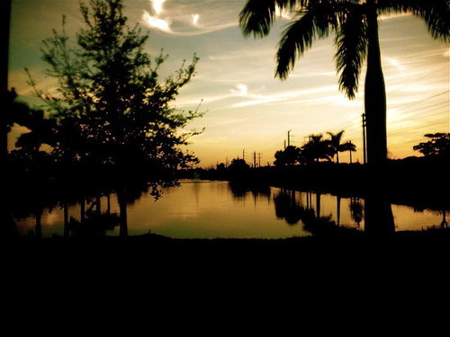 Sunset in Fl