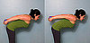 How to Tone the Triceps