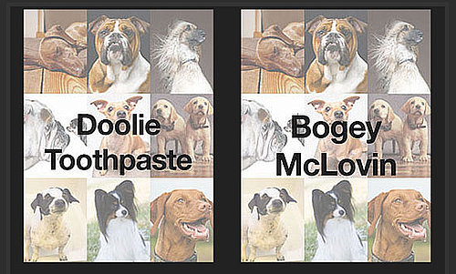 Can You Tell Which Dog Name Is Wackiest For a Shot at $1,000?