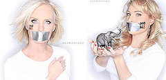 Grab Bag! The McCain Women Say No to Prop 8 Grab Bag! The McCain Women Say No to Prop 8