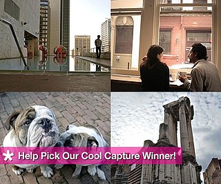 Sugar Shout Out: Pick a Winner For Geek's Cool Capture Contest!