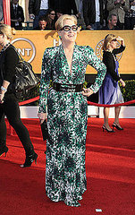 Meryl Streep(2010 SAG Awards)