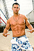 Mike "The Situation" Sorrentino From MTV's The Jersey Shore Is a Personal Trainer at Gold's Gym