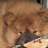 What Happened on PetSugar This Week (1/25 – 1/29)? What Happened on PetSugar This Week (1/25 – 1/29)?