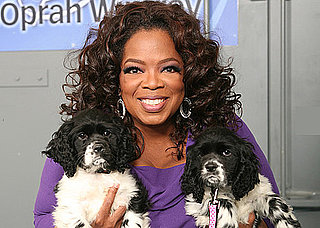 Oprah's New Puppies Named Sunny and Lauren