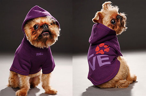Toru's Charity Hoodies Look Cute and Give Back