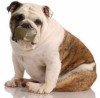 What's Your Take: Debarking Dogs?