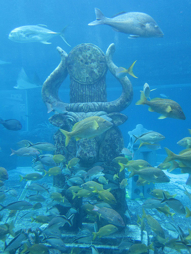 Source: Flickr User CC Chapman Source: Flickr User CC Chapman