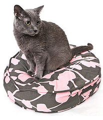New Product Alert! Molly Meow New Product Alert! Molly Meow