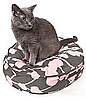 New Product Alert! Molly Meow