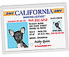 Dog Barking License Photo ID Wallet Card: Spoiled Sweet or Spoiled Rotten?