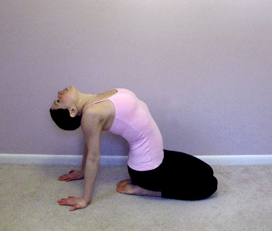 Seated Heart-Opener
