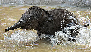 Splish, Splash, Baby’s Taking a Bath 