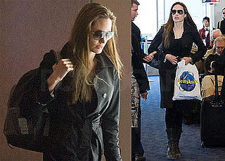 Photos of Angelina Jolie Arriving at LAX From Haiti
