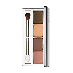 Clinique Surge Eye Shadow Quad in Spicy