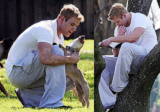 Photos of Kellan Lutz at the Park in LA with His Dogs Kola and Kevin
