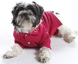 New Product Alert! Oprah O Pets