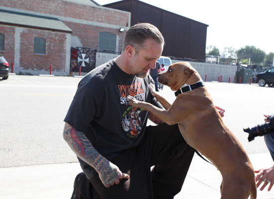 Cinnabun and Jesse James Are Reunited! Cinnabun and Jesse James Are Reunited!