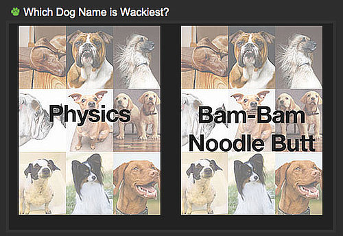 Can You Tell Which Dog Name Is Wackiest For a Shot at $1,000?