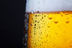 Light Beer: Love It or Hate It? Light Beer: Love It or Hate It?