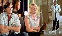 Would You Rather Be a Couples' Therapist or a Pet Psychologist?