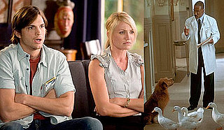 Would You Rather Be a Couples' Therapist or a Pet Psychologist?