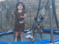 Forever A Faithful Friend!! A Sweet Happy Story!! :)