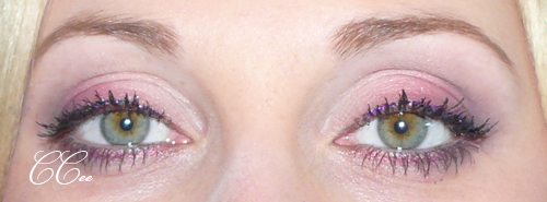 January 24th 2010