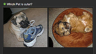 Two Little Cutie Pies, Do You Have a Fave? 