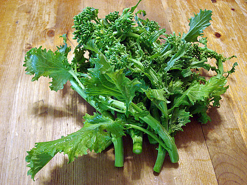 Cooking With Broccoli Rabe, aka Rapini