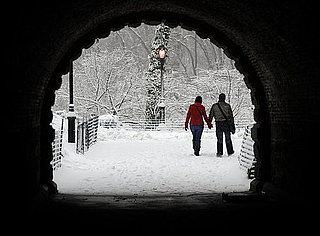 Snow in Central Park Photos