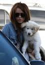 Mileys New Pup!!