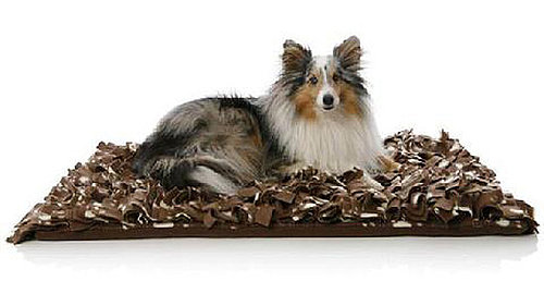 New Product Alert! Bindaboo Bindy Beds