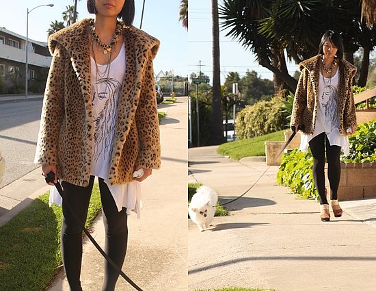 Walking the Leopard and the Dog