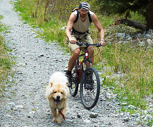 Go Ride a Bike Go Ride a Bike