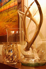 Cool Decorating Idea For Antlers Cool Decorating Idea For Antlers