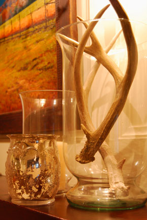 Cool Decorating Idea For Antlers