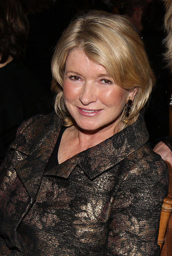 Martha Stewart Pitching TV Show Help Me Martha