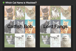 Crazy Pet Name Ideas