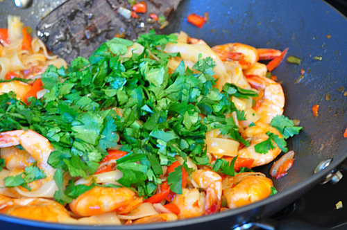 Shrimp, Cilantro and Rice Noodles Shrimp, Cilantro and Rice Noodles