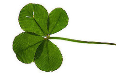 Irish Tunes For a St. Patrick's Day Workout Irish Tunes For a St. Patrick's Day Workout