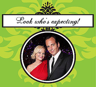 Amy Poehler and Will Arnett Expecting Second Baby