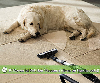 10 Powerful Pet Hair Vacuums (Even on Hardwoods)!