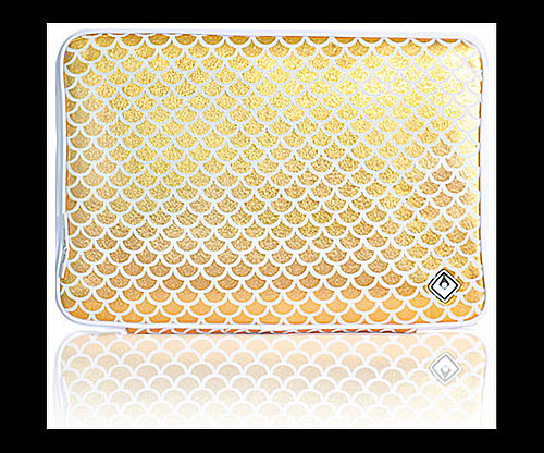 Photos of ISIS Laptop Sleeves Photos of ISIS Laptop Sleeves