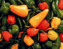 Do You Like Spicy Foods? Do You Like Spicy Foods?