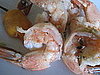 Spicy Shrimp Recipe