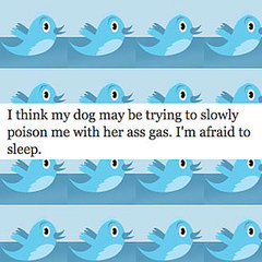 Quiz on Favorite Popular Celebrity Tweets on Twitter 2010-03-24 16:30:10